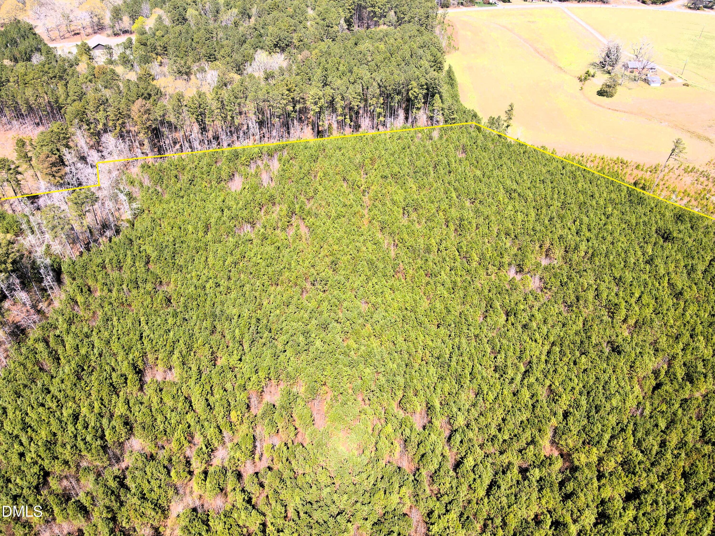 1 Collins Mountain Road Chapel Hill, NC 27516 - Photo 8 of 20 DJI_0642