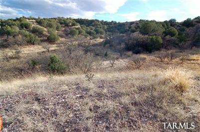 Ranch Road, Unit WEST Patagonia, AZ 85624 - Photo 8 of 15
