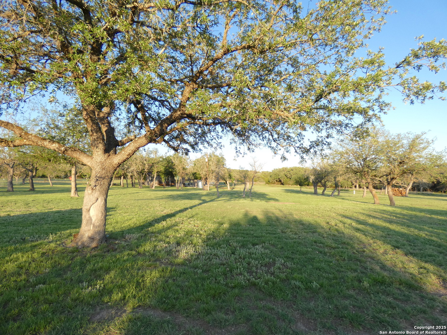 234 Mill Dam Road Comfort, TX 78013 - Photo 38 of 46