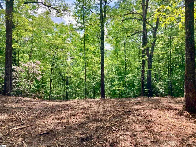 $70,000 | 5 Water View Court, Travelers Rest, SC 29690