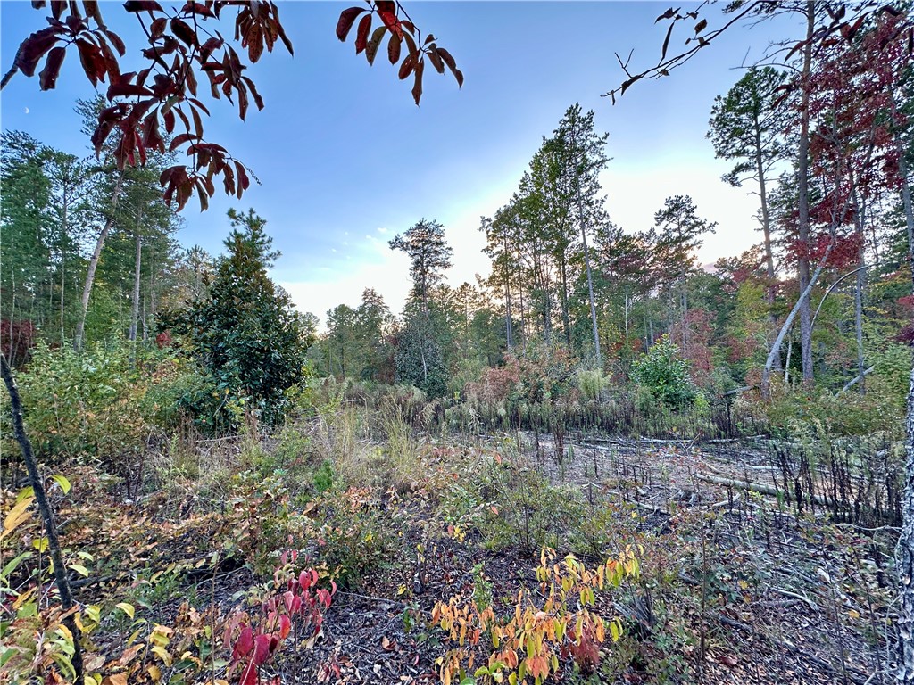 Lot 5 Rock Crusher Road Walhalla, SC 29691 - Photo 3 of 3 Gallery Image 3