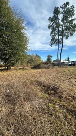 a view of a yard with an trees
