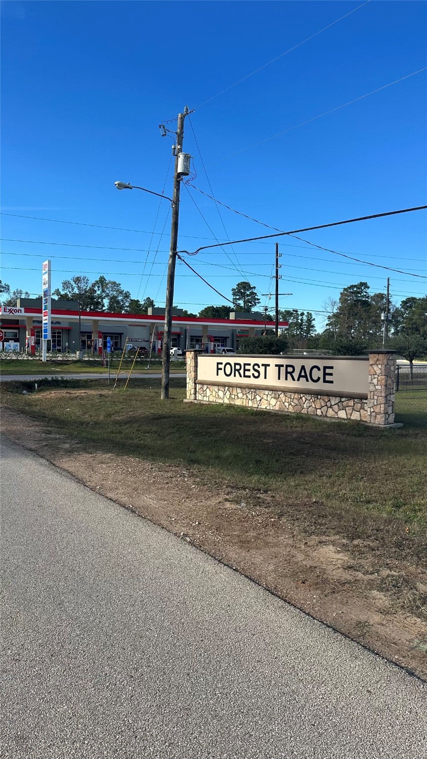 7119 Jessica Leann Conroe, TX 77306 - Photo 11 of 11 a view of a water with palm trees
