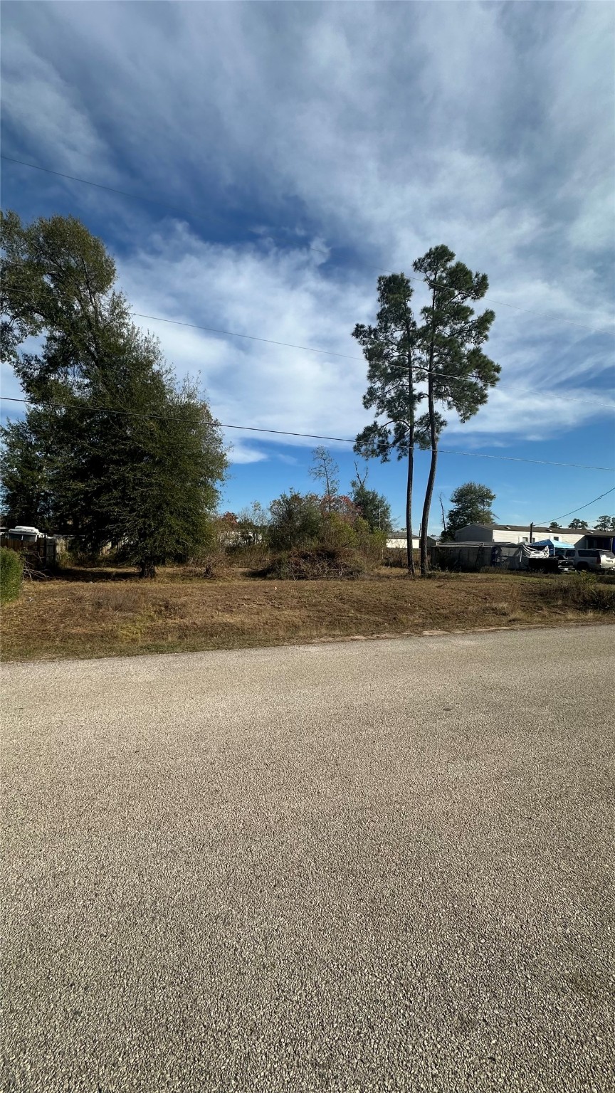 7119 Jessica Leann Conroe, TX 77306 - Photo 9 of 11 a view of a lake