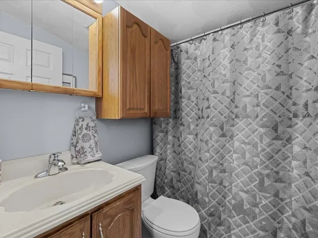 a bathroom with a sink toilet and vanity