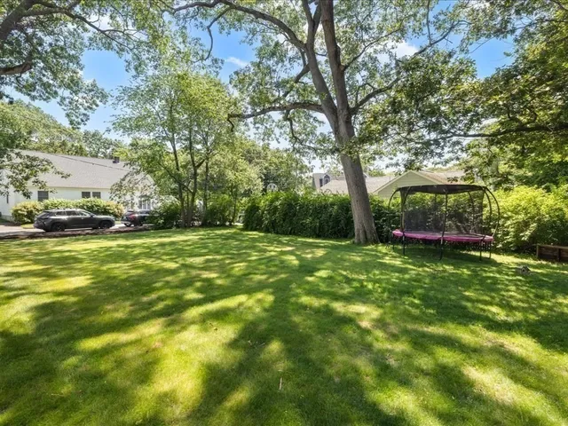 a view of a garden with trees