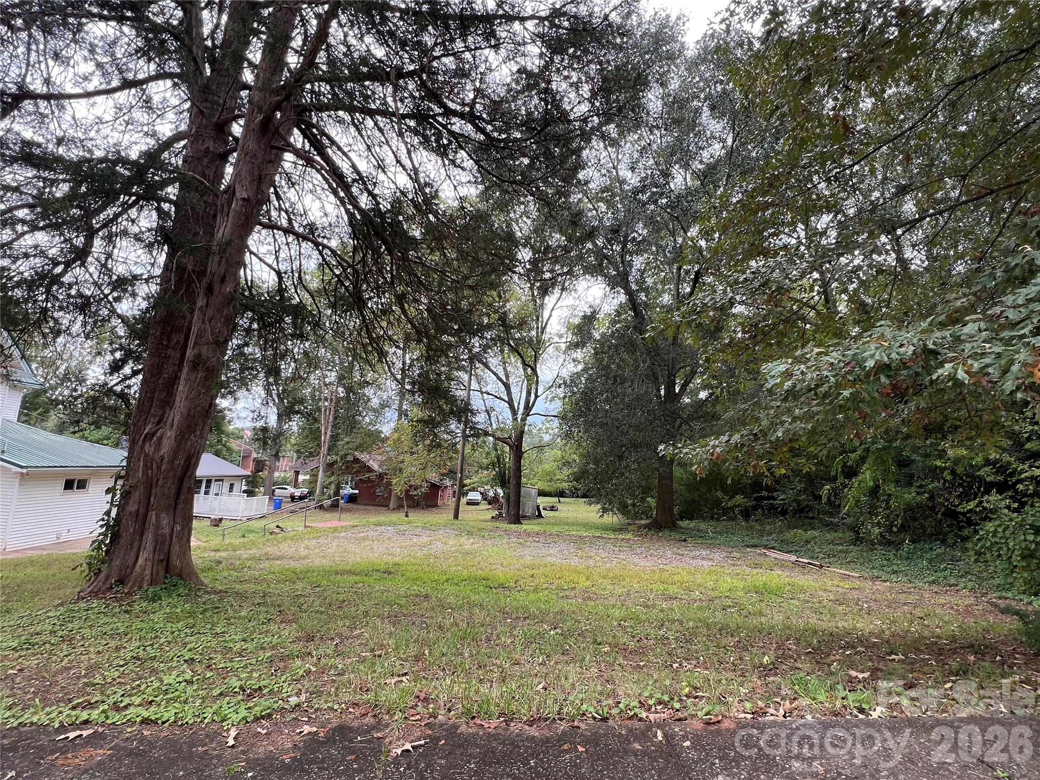 171 North Mitchell Street Rutherfordton, NC 28139 - Photo 8 of 29 a view of outdoor space with trees