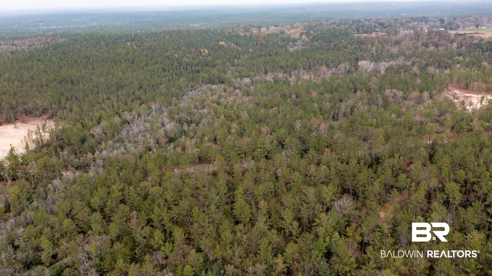 12123 Red Hill Rd Extension Bay Minette, AL 36507 - Photo 4 of 4