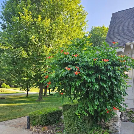 $825,000 | 6245 Dublin Drive, Stanwood, MI 49346