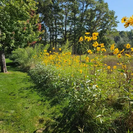 $825,000 | 6245 Dublin Drive, Stanwood, MI 49346