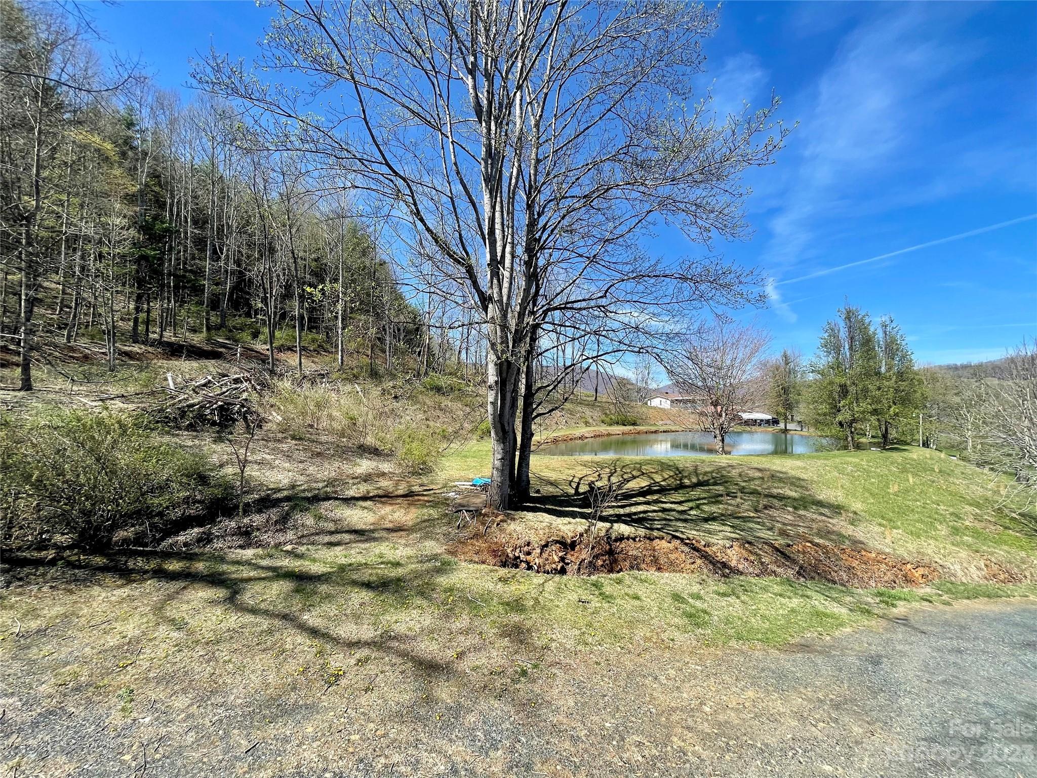 195 Trinity Lane Jefferson, NC 28640 - Photo 8 of 31 a view of a yard with wooden fence