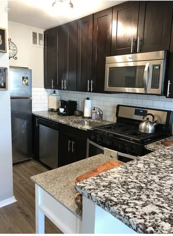 $2,250 | 1 East Scott Street, Unit 1002, Chicago, IL 60610