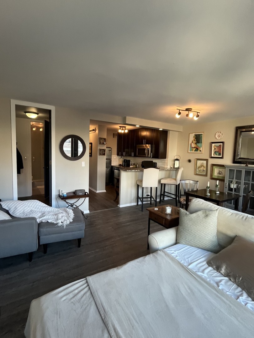 1 East Scott Street, Unit 1002 Chicago, IL 60610 - Photo 6 of 15