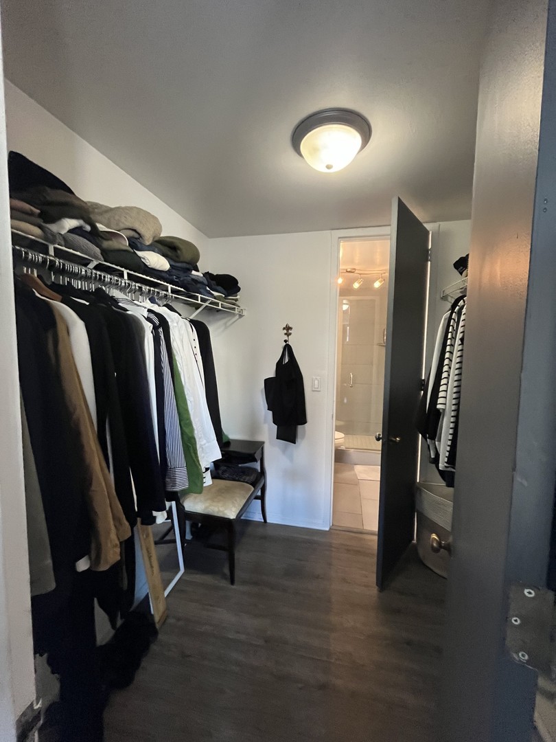 1 East Scott Street, Unit 1002 Chicago, IL 60610 - Photo 9 of 15