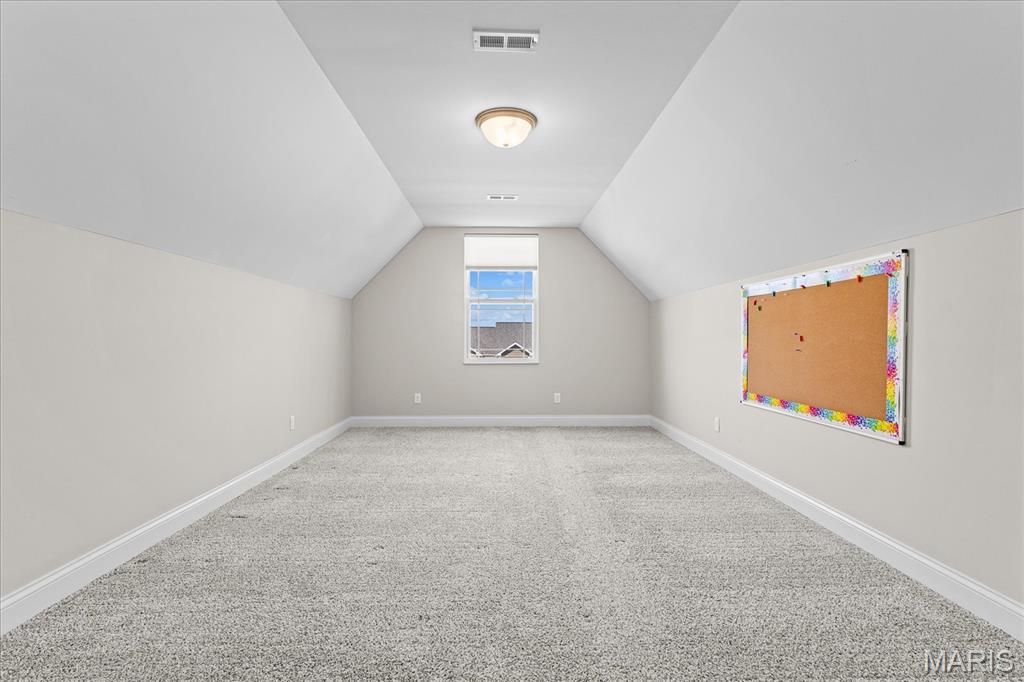 1434 Montauk Road Troy, IL 62294 - Photo 51 of 82 Gallery Image 51