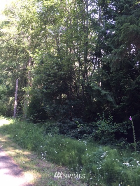 11605 Larson Road Anderson Island, WA 98303 - Photo 11 of 19 Gallery Image 11