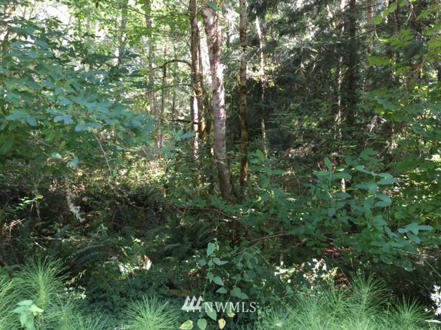 11605 Larson Road Anderson Island, WA 98303 - Photo 12 of 19 Gallery Image 12