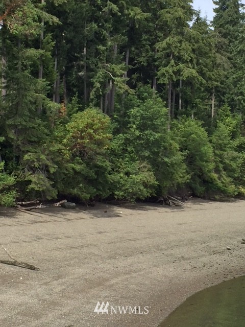 11605 Larson Road Anderson Island, WA 98303 - Photo 15 of 19 Gallery Image 15
