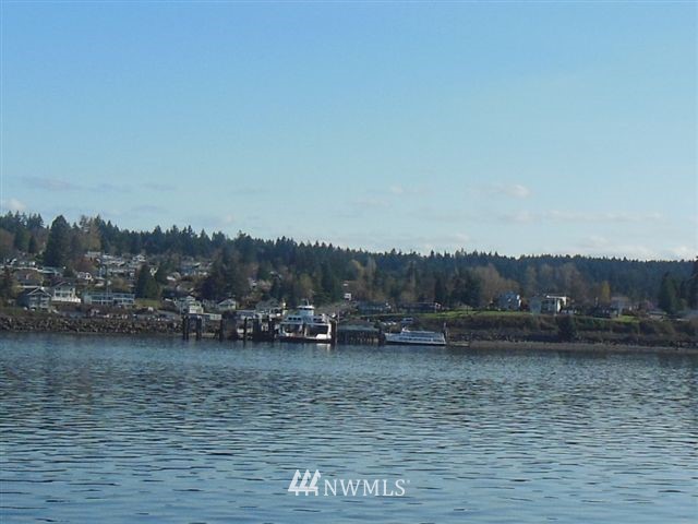 11605 Larson Road Anderson Island, WA 98303 - Photo 9 of 19 Gallery Image 9