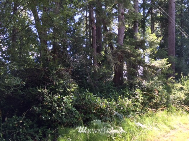 11605 Larson Road Anderson Island, WA 98303 - Photo 10 of 19 Gallery Image 10