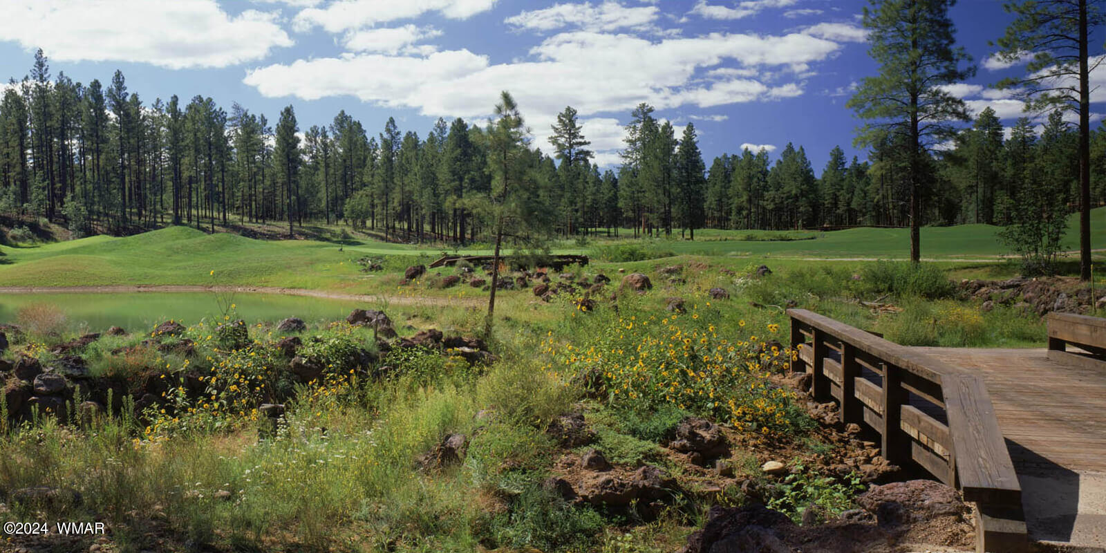 4281 Shaggy Bark Road Show Low, AZ 85901 - Photo 73 of 84 a view of a golf course