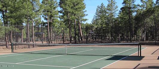 4281 Shaggy Bark Road Show Low, AZ 85901 - Photo 78 of 84 a view of a tennis court