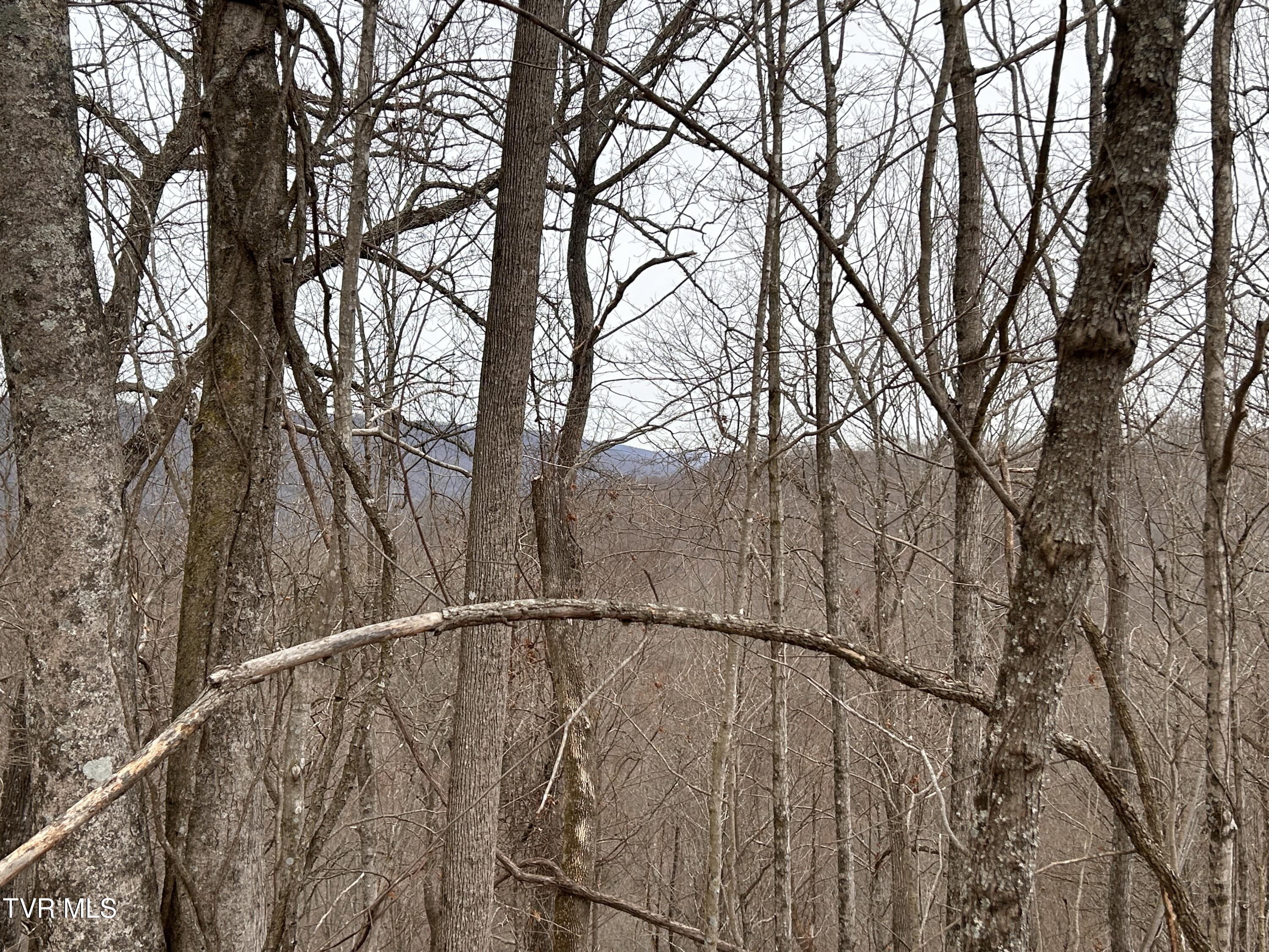 Tbd Toole Creek Road Abingdon, VA 24210 - Photo 17 of 25 *