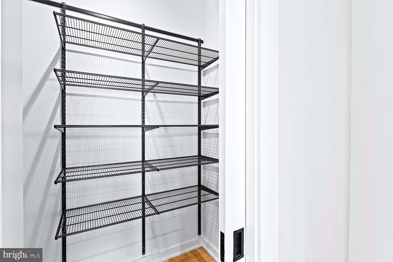 511 M Street Northeast, Unit A Washington, DC 20002 - Photo 9 of 43 Walk-In Pantry