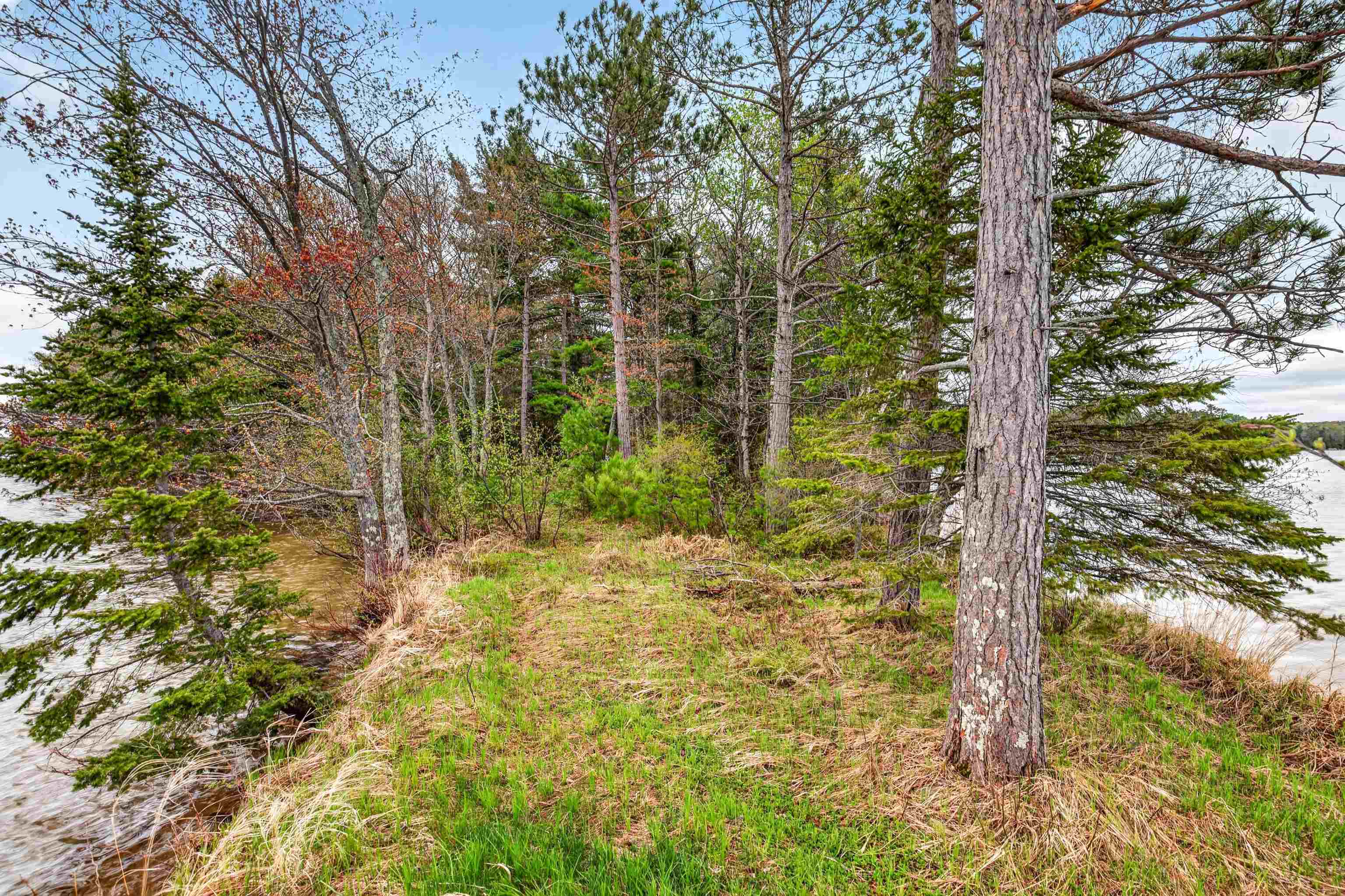 3980 Pedersen Trail Phelps, WI 54554 - Photo 66 of 90