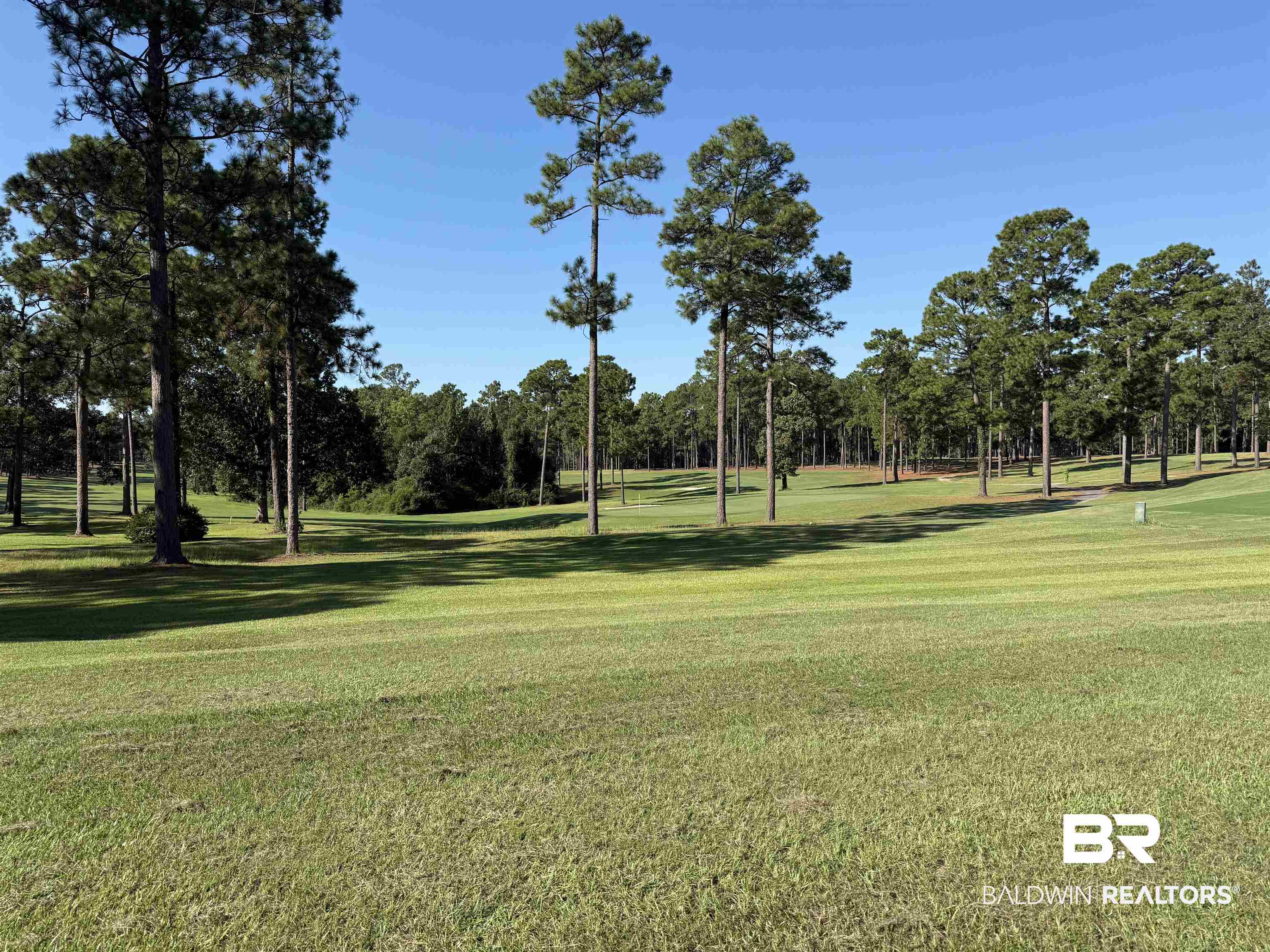 415 Juniper Creek Road Brewton, AL 36426 - Photo 33 of 35 Surrounding community with a yard and view of wooded area