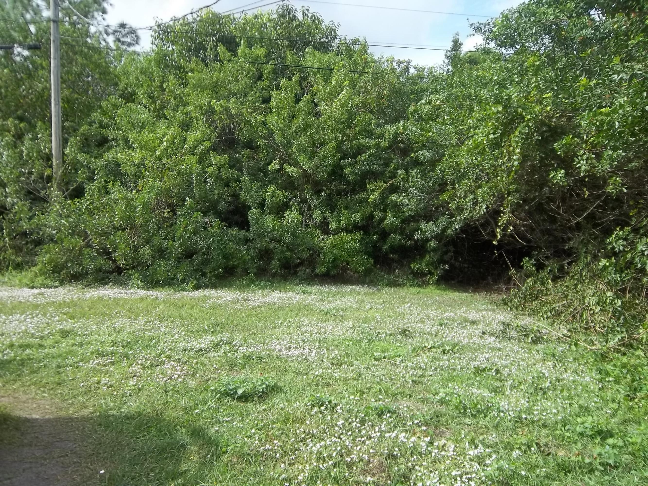 638 Southwest Homeland Road Port St. Lucie, FL 34953 - Photo 5 of 5 Back Yard