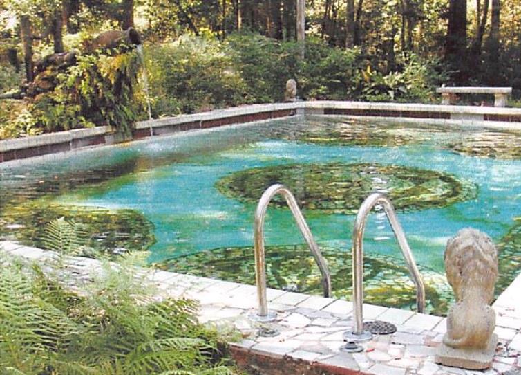 22128 5th Street Abita Springs, LA 70420 - Photo 28 of 44