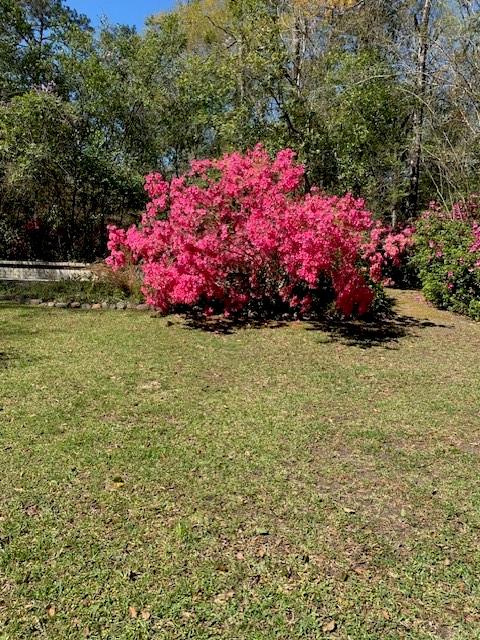 22128 5th Street Abita Springs, LA 70420 - Photo 31 of 44