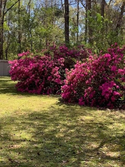 22128 5th Street Abita Springs, LA 70420 - Photo 32 of 44