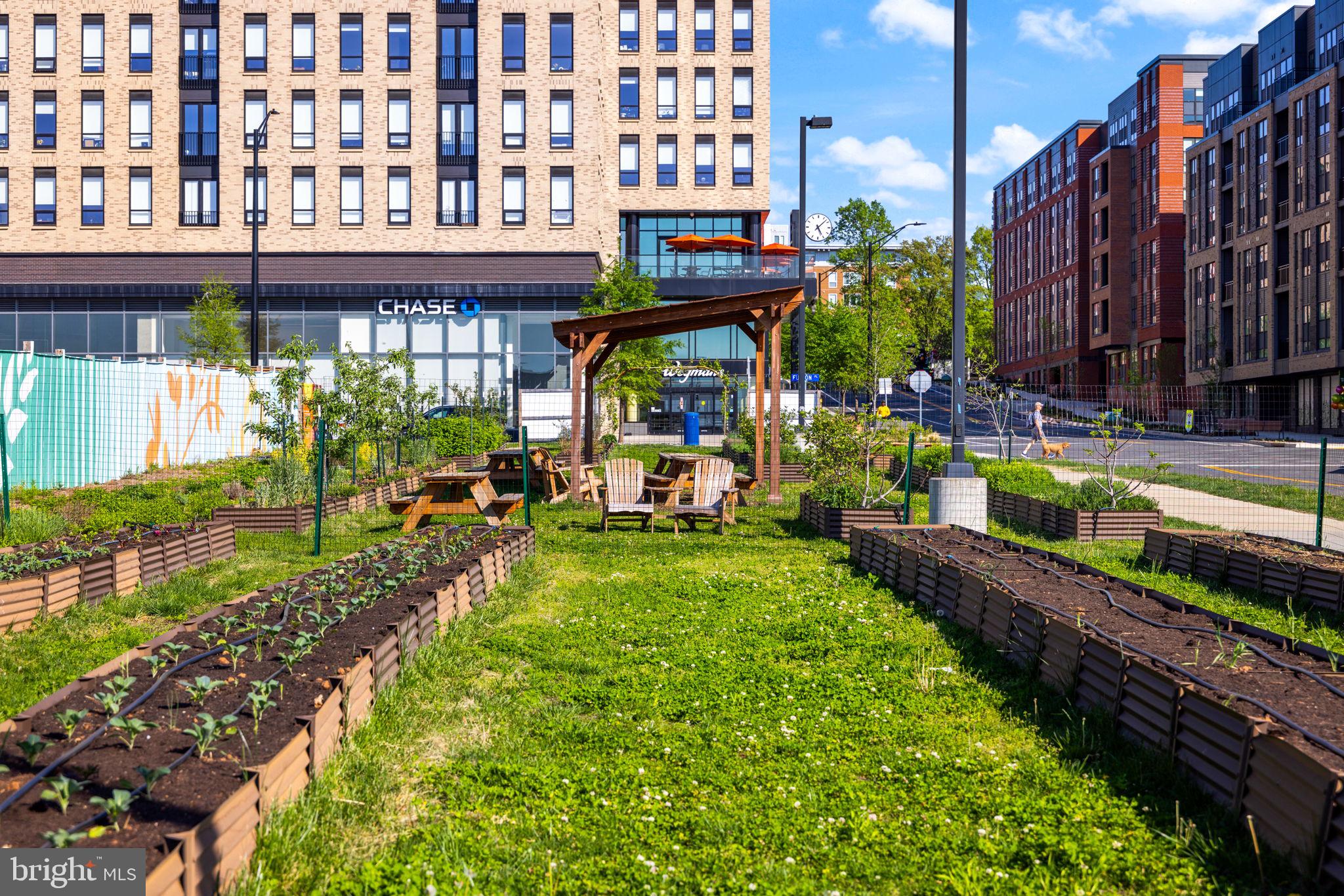 2389 Southgate Square Reston, VA 20191 - Photo 53 of 56 a view of a swimming pool with a patio