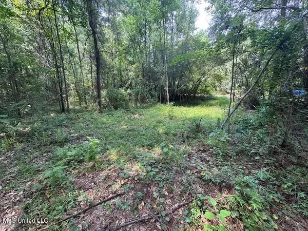 $65,000 | 0 Old Highway 24, Centreville, MS 39631