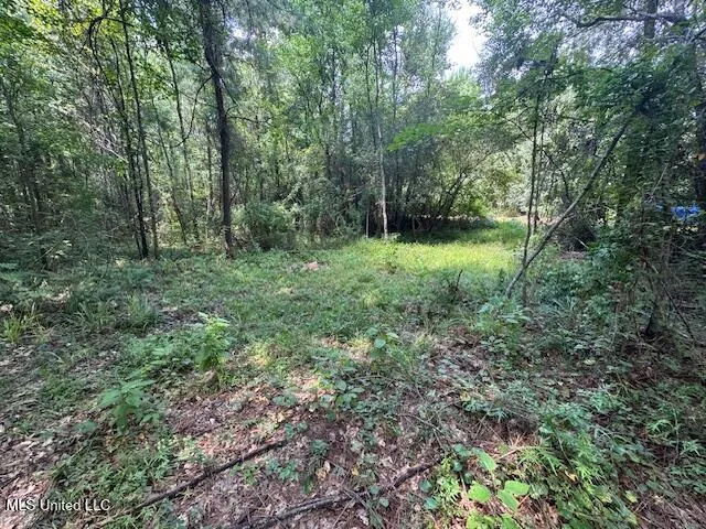 $65,000 | 0 Old Highway 24, Centreville, MS 39631