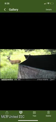 $65,000 | 0 Old Highway 24, Centreville, MS 39631