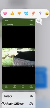 $65,000 | 0 Old Highway 24, Centreville, MS 39631