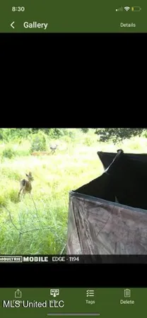 $65,000 | 0 Old Highway 24, Centreville, MS 39631