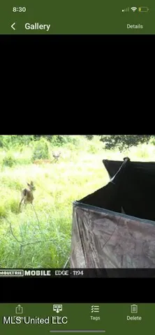 $65,000 | 0 Old Highway 24, Centreville, MS 39631