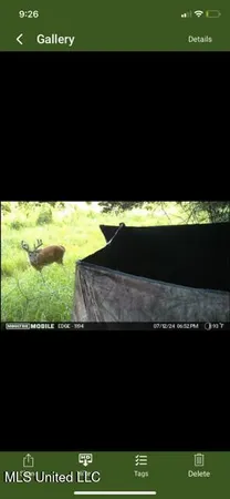 $65,000 | 0 Old Highway 24, Centreville, MS 39631