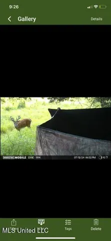 $65,000 | 0 Old Highway 24, Centreville, MS 39631