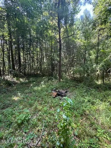 $65,000 | 0 Old Highway 24, Centreville, MS 39631