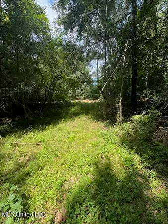 $65,000 | 0 Old Highway 24, Centreville, MS 39631