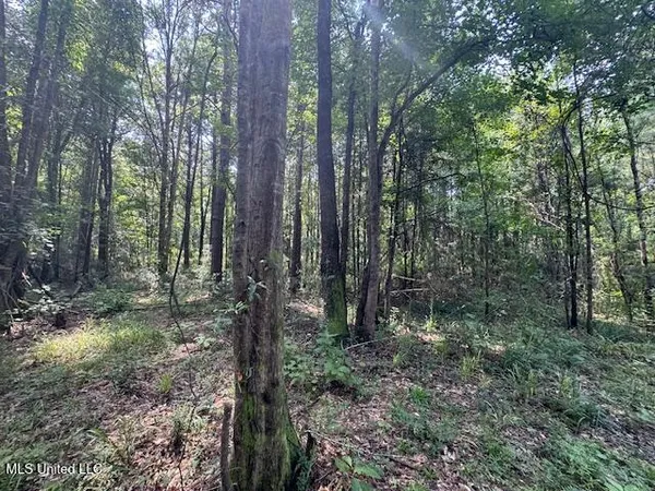 $65,000 | 0 Old Highway 24, Centreville, MS 39631