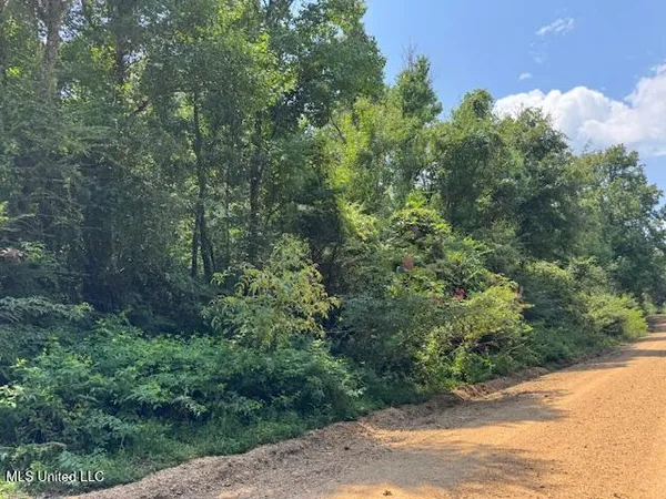 $65,000 | 0 Old Highway 24, Centreville, MS 39631
