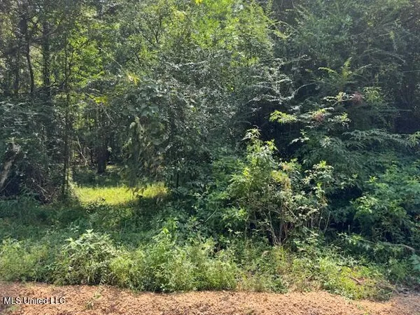 $65,000 | 0 Old Highway 24, Centreville, MS 39631