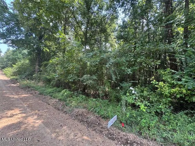 $65,000 | 0 Old Highway 24, Centreville, MS 39631