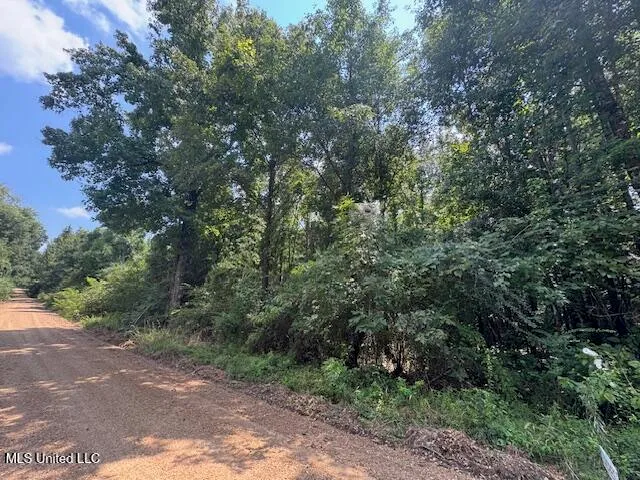 $65,000 | 0 Old Highway 24, Centreville, MS 39631